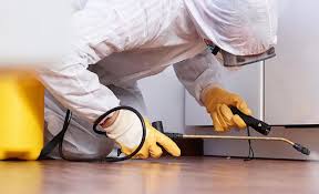 Best Pest Control for Multi-Family Homes  in East Rochester, NY